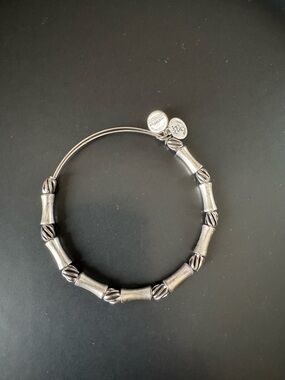 Alex and Ani Bamboo Silver- Toned Beaded Adjustable Bracelet